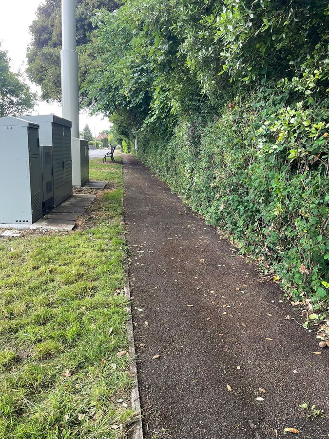 Verge Clearing West Common 6 June 2025